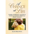 A Chance At Life: Stories of Inspiration and Hope for Foster and Adoptive Parents of Abused Children - Paperback