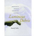 Luminous Debris: Reflecting on Vestige in Provence and Languedoc - Paperback