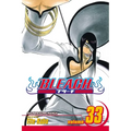 Bleach, Vol. 33 - Paperback
