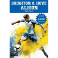 Brighton & Hove Albion Fun Facts - Paperback