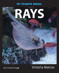My Favorite Animal: Rays - Paperback
