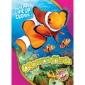 Clownfish - Paperback