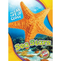 Sea Stars - Library Binding