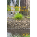 The Grass that Grows in Sidewalks - Paperback