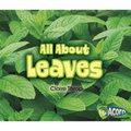 All about Leaves - Paperback