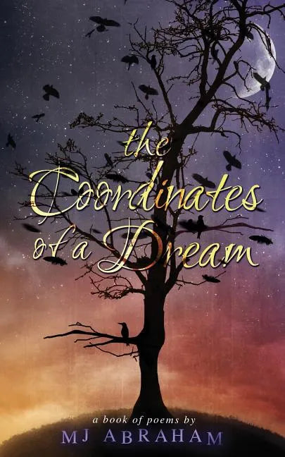 The Coordinates of a Dream - Paperback