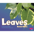 Leaves - Paperback