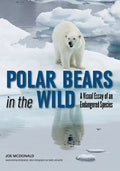 Polar Bears in the Wild: A Visual Essay of an Endangered Species - Paperback