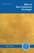 What Is New Testament Theology? - Paperback