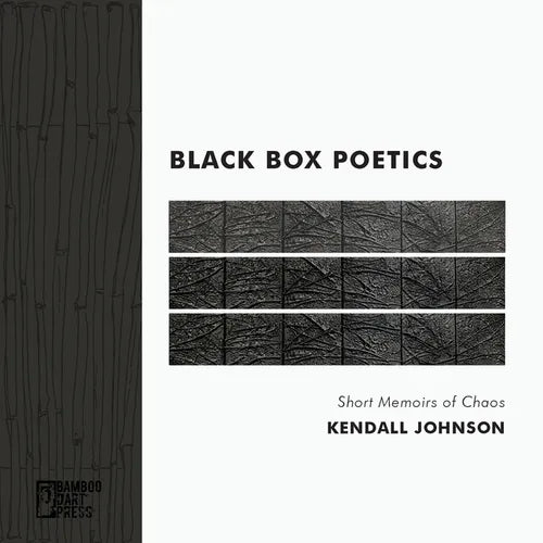 Black Box Poetics: Short Memoirs of Chaos - Paperback
