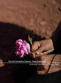 Eco Art Incubator Cyprus: Sites Embodied: Curriculum, Catalogue, Contemplations - Paperback