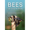 Bees of Costa Rica - Paperback