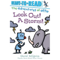 Look Out! a Storm!: Ready-To-Read Pre-Level 1 - Hardcover