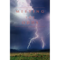 Meeting the Odds - Paperback