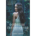 Goddess Interrupted - Paperback