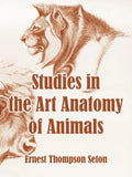 Studies in the Art Anatomy of Animals - Paperback