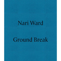 Nari Ward: Ground Break - Paperback