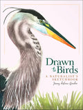 Drawn to Birds: A Naturalist's Sketchbook - Hardcover