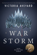 War Storm - Paperback