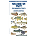Washington State Freshwater Fishes - Paperback
