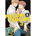 Megumi & Tsugumi, Vol. 3 - Paperback
