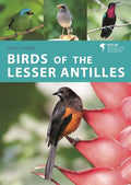 Birds of the Lesser Antilles - Paperback