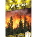 Wildfires - Library Binding
