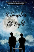 A Surplus of Light: A Gay Coming-of-Age Tale - Paperback