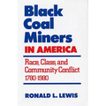 Black Coal Miners in America: Race, Class, and Community Conflict, 1780-1980 - Paperback