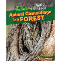 Animal Camouflage in a Forest - Paperback