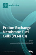 Proton Exchange Membrane Fuel Cells (PEMFCs) - Hardcover