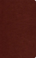ESV Pocket Bible (Trutone, Chestnut) - Imitation Leather