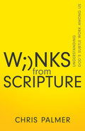 Winks from Scripture: Understanding God's Subtle Work Among Us - Paperback