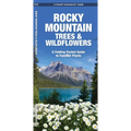 Rocky Mountain Trees & Wildflowers: A Folding Pocket Guide to Familiar Plants