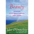 Beauty: The Invisible Embrace - Paperback