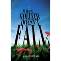 When Goliath Doesn't Fall - Paperback