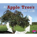 An Apple Tree's Life Cycle - Paperback