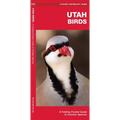 Utah Birds: A Folding Pocket Guide to Familiar Species