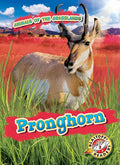 Pronghorn - Library Binding