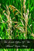 The Little Office Of The Blessed Virgin Mary - Paperback