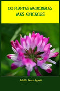 Las plantas medicinales más eficaces - Paperback