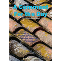 A Comment For the Day, 365 Day Devotional - Paperback