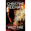 Wild Fire - Paperback