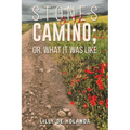 Stones on the Camino; or, What It Was Like - Paperback