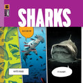 Sharks - Paperback
