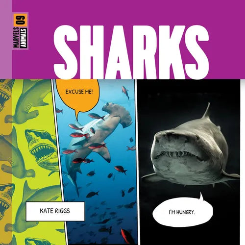 Sharks - Paperback