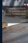 Comprehensive Planning for Small Towns and Villages - Paperback