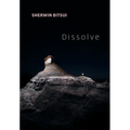 Dissolve - Paperback
