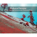 DakotaChrome: A Walk Through Yellowstone National Park - Hardcover