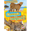 Cheetah or Leopard? - Library Binding